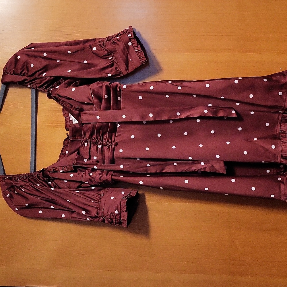 For Love And Lemons Davies Burgundy Polka Dot Swing Satin Dress - Picture 3 of 8